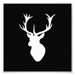 White Stag Head Photo Print