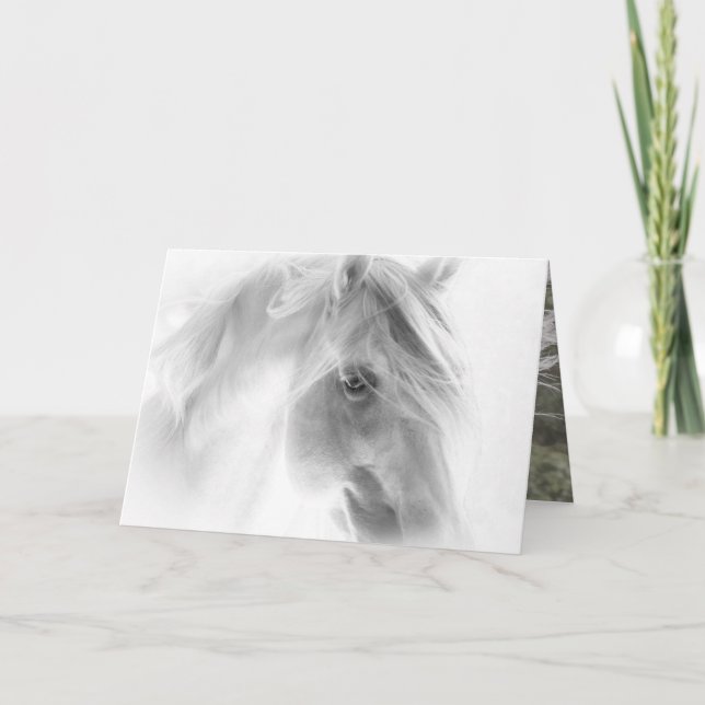 White Stallion Glows - Horse Greeting Card (Front)