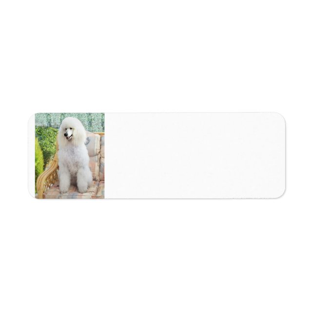 White Standard Poodle Label (Front)