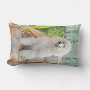 White Standard Poodle Lumbar Pillow