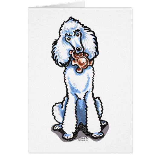 White Standard Poodle Teddy Bear Cards (Front)