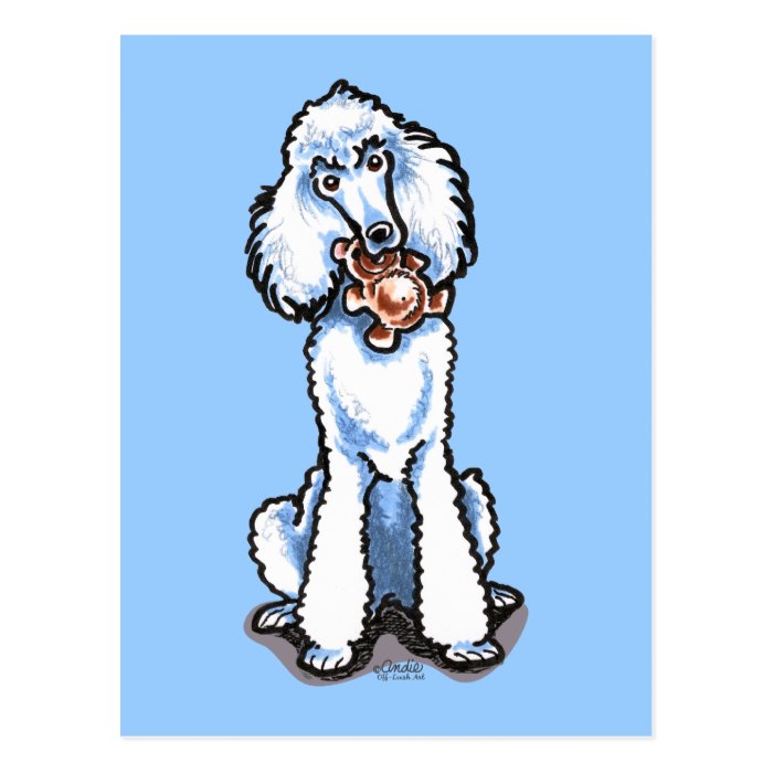 White Standard Poodle Teddy Bear Postcard