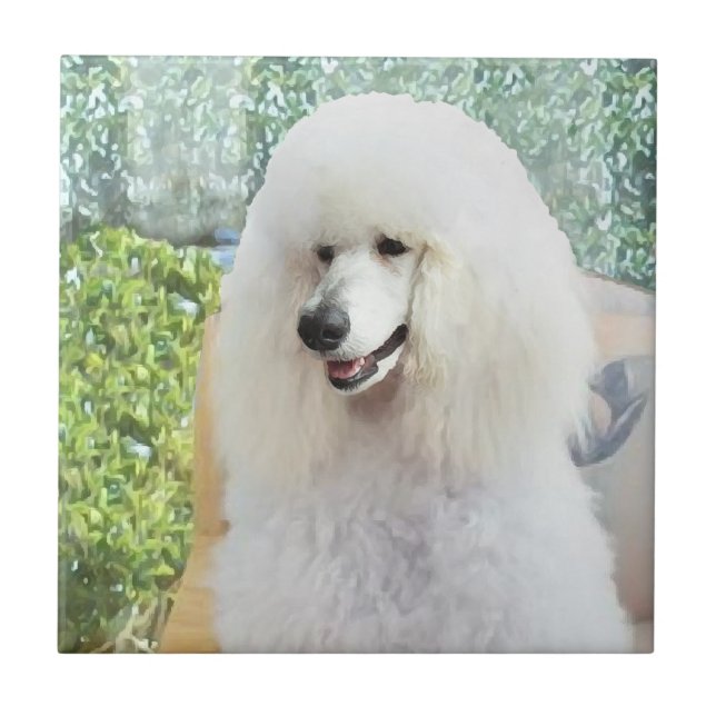 White Standard Poodle Tile (Front)