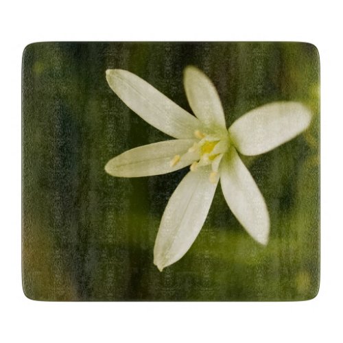 White Star_of_Bethlehem _ Perennial Flower Cutting Board