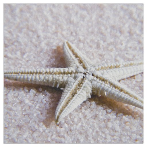White Starfish Fabric