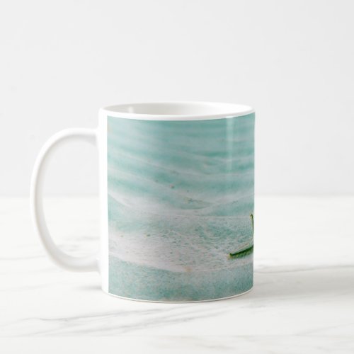 White starfish on sand underwater in the morning coffee mug