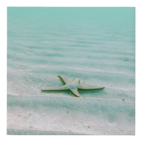 White starfish on sand underwater in the morning faux canvas print