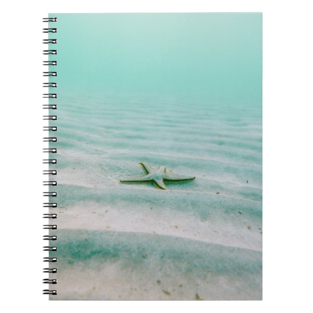 White starfish on sand underwater in the morning notebook (Front)