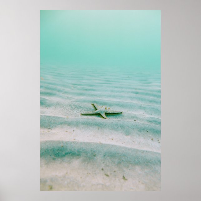 White starfish on sand underwater in the morning poster (Front)