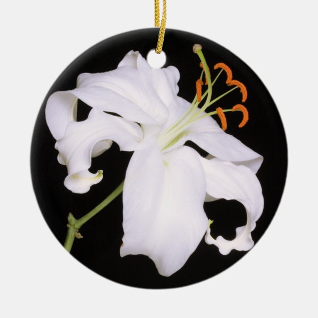 White Stargazer Lily Ceramic Ornament (Front)