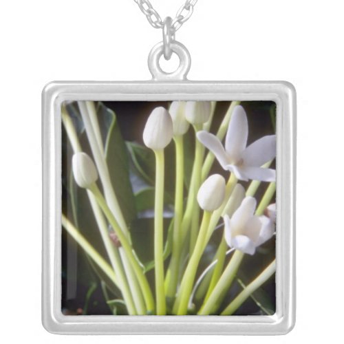 white Stephanotis floribunda flowers Silver Plated Necklace
