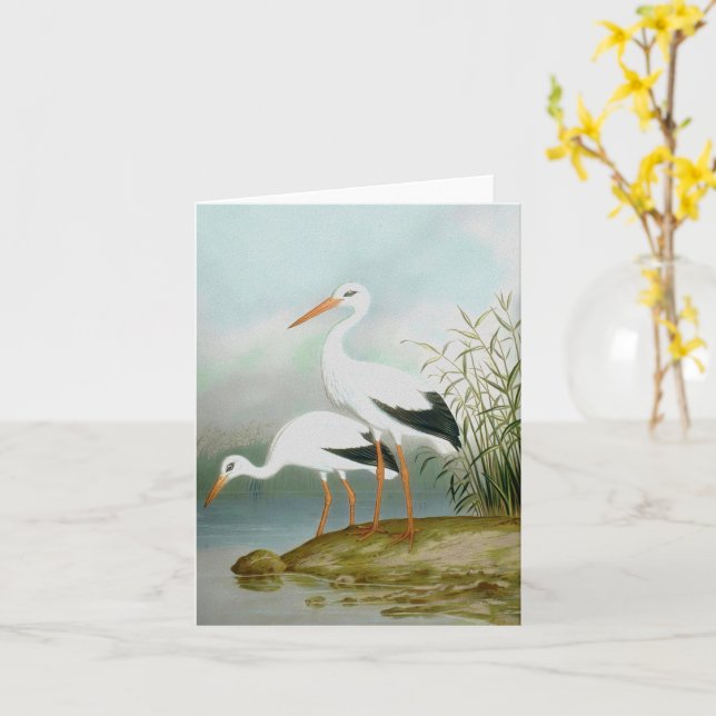 White stork, Bird Illustrations Card (Yellow Flower)