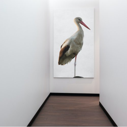 White Stork Ciconia ciconia Bird Art On White Canvas Print