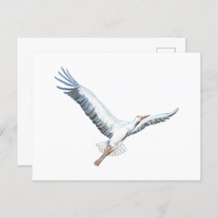 White stork flying     invitation postcard