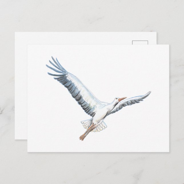 White stork flying     invitation postcard (Front/Back)
