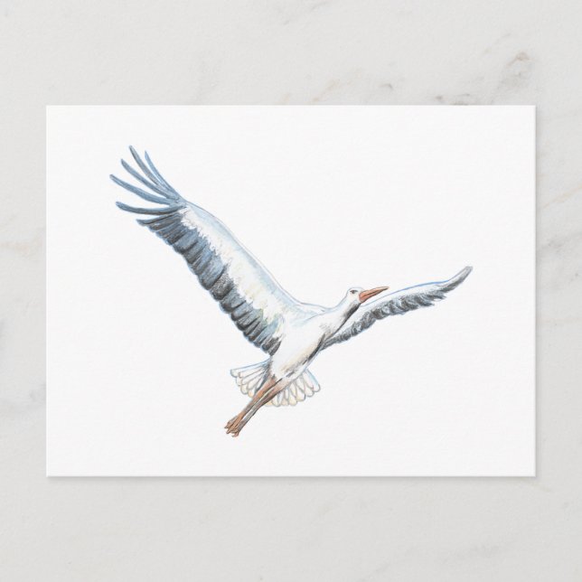 White stork flying   postcard (Front)