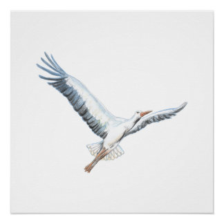 White stork flying poster