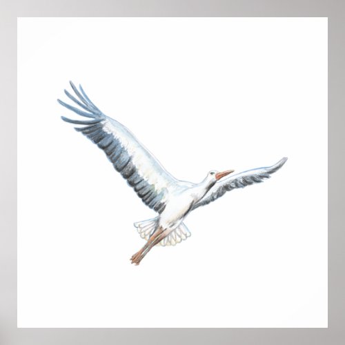 White stork flying poster