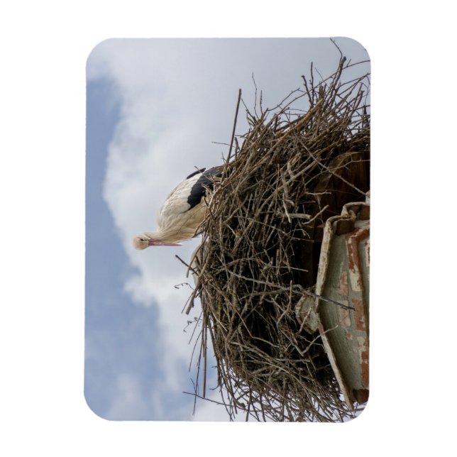 white stork in the nest magnet (Vertical)