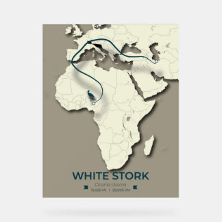 White Stork Migration Map – Minimalist Vintage Acrylic Sign
