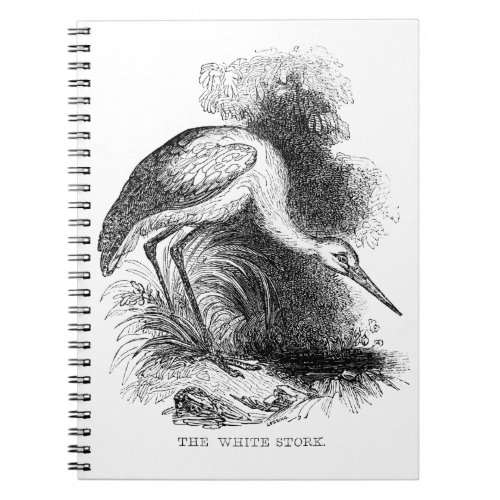 White Stork Vintage Bird Wildlife Drawing Notebook