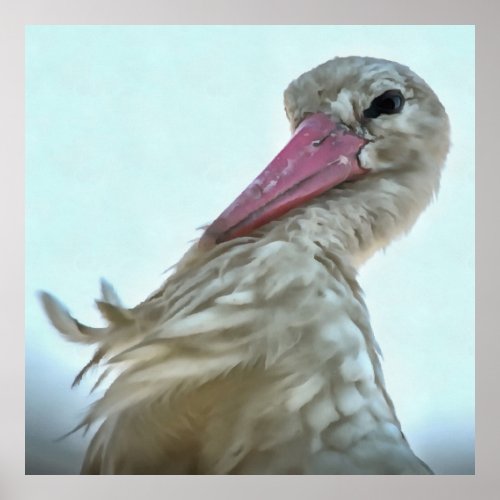 White Stork With Incredulous Expression Animal Art Poster