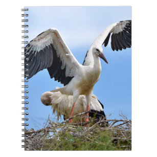 White storks on their nest notebook
