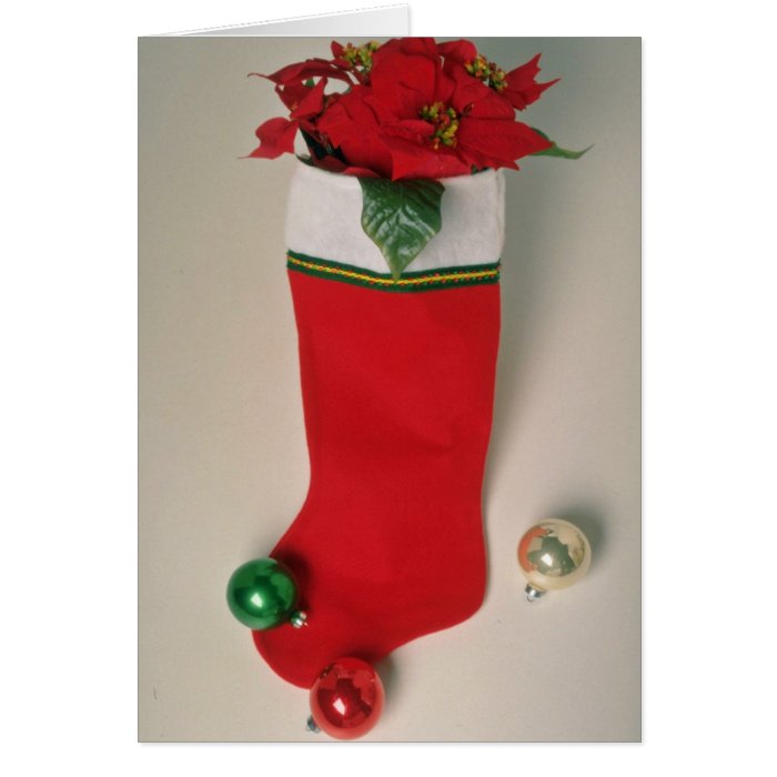 White Stuffed stocking flowers Cards