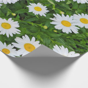White Summer Daisy Garden Wrapping Paper