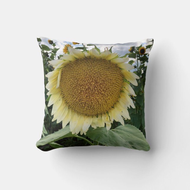 White Sunflower Throw Pillow (Front)