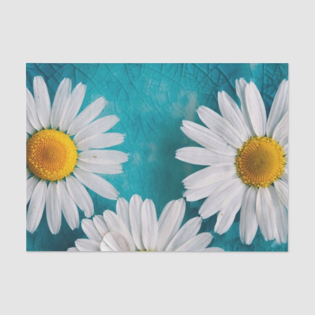 White Sunflowers on Turquoise Tissue Paper (Front)