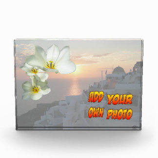 White Sunny Tulip Flowers Photo Block