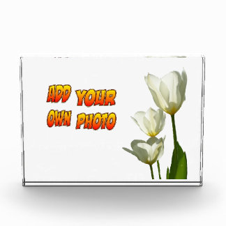 White Sunny Tulips Photo Block