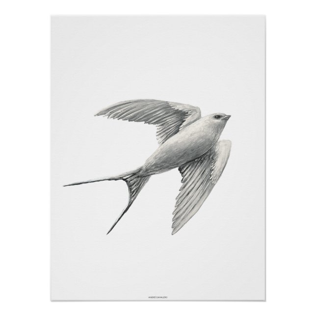 White Swallow Poster (Front)