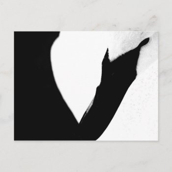 White Swan Abstract Postcard by KKHPhotosVarietyShop at Zazzle