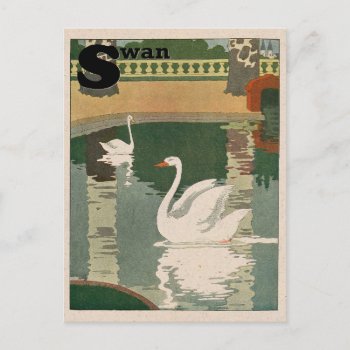 White Swan Alphabet Postcard by kidslife at Zazzle