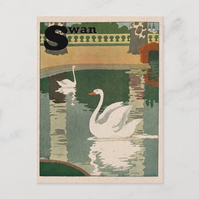 White Swan Alphabet Postcard (Front)