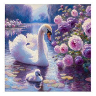 White Swan and Cygnet with Purple Roses Acrylic Print
