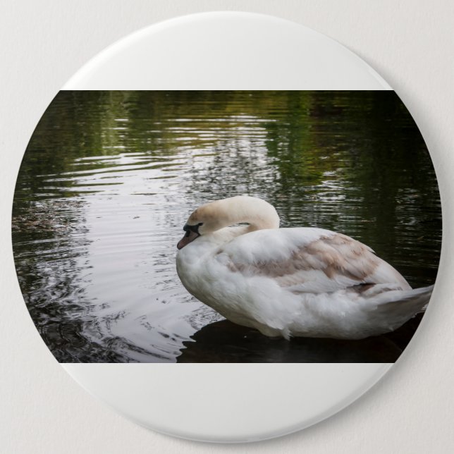 White swan button (Front)