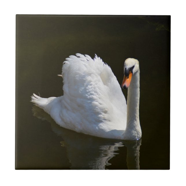 White swan ceramic tile (Front)
