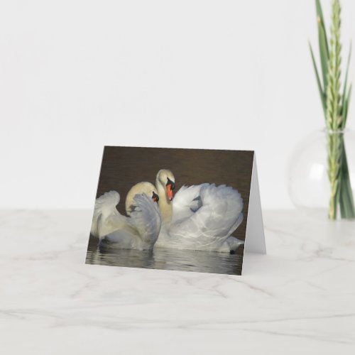 White Swan Couple Photograph Thank You Card