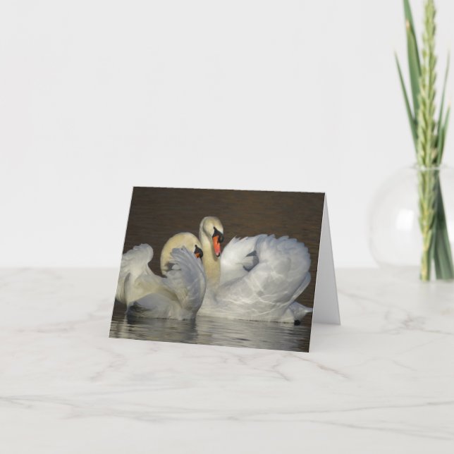 White Swan Couple Photograph Thank You Card (Front)