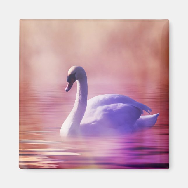 White Swan floating on a misty lake Magnet (Front)