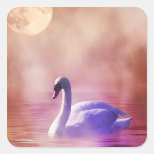 White Swan floating on a misty lake Square Sticker