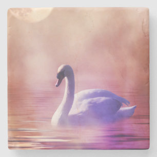 White Swan floating on a misty lake Stone Coaster