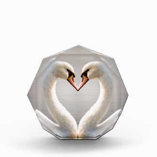 White Swan Heart Award