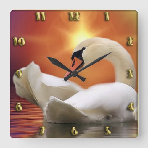 White Swan in a lake with a orange gold sunset  Square Wall Clock