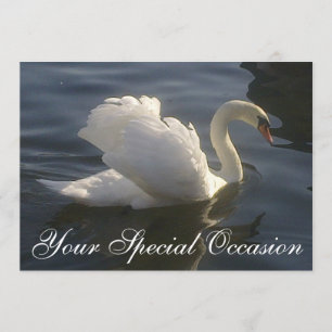White Swan Invitation