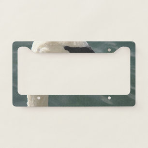 White swan is watching you license plate frame