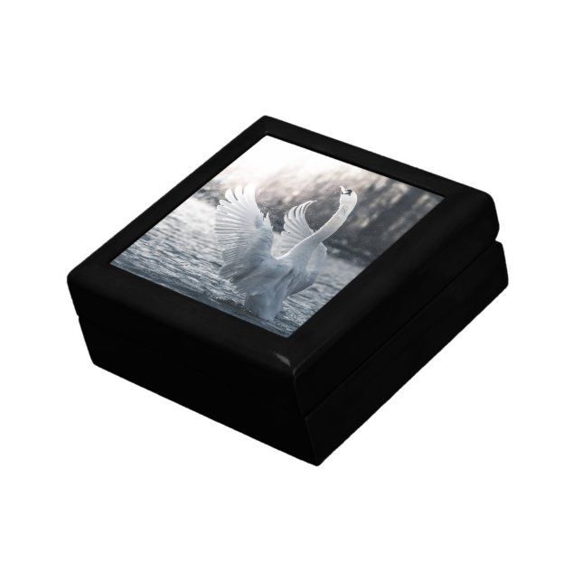 White Swan Nature Photo Gift Box (Side)